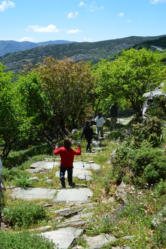 Μονοπάτι 1 Άνδρος
