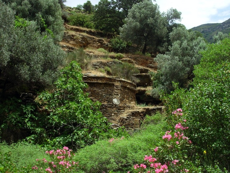 Μονοπάτι 2 Άνδρος