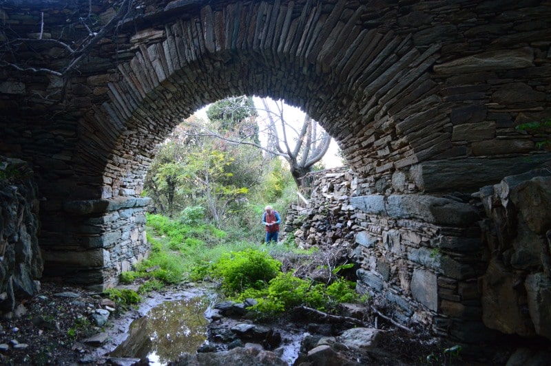 Μονοπάτι 4 Άνδρος