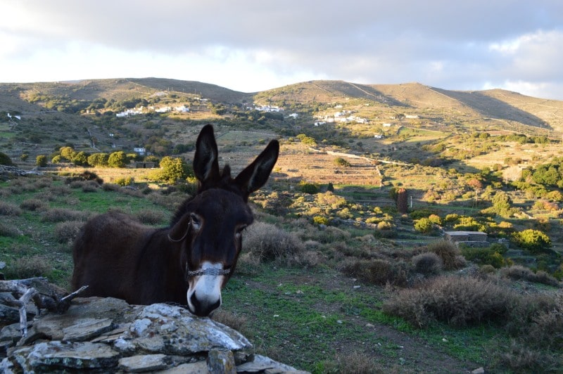 Μονοπάτι 5 Άνδρος
