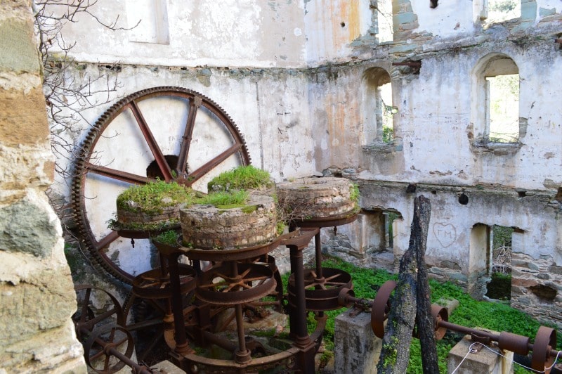 Μονοπάτι 8 Άνδρος