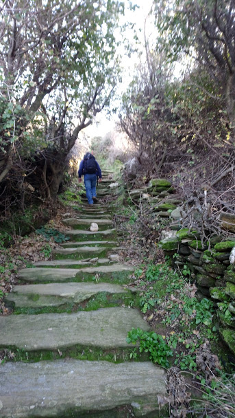 Μονοπάτια Ka1 - Ka2 Άνδρος