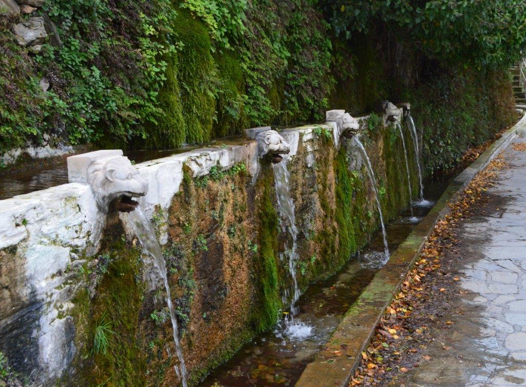 Μονοπάτι Men1 Άνδρος