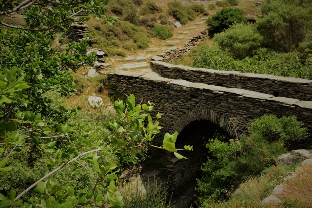 Σπυροπούλου-Άννα-6