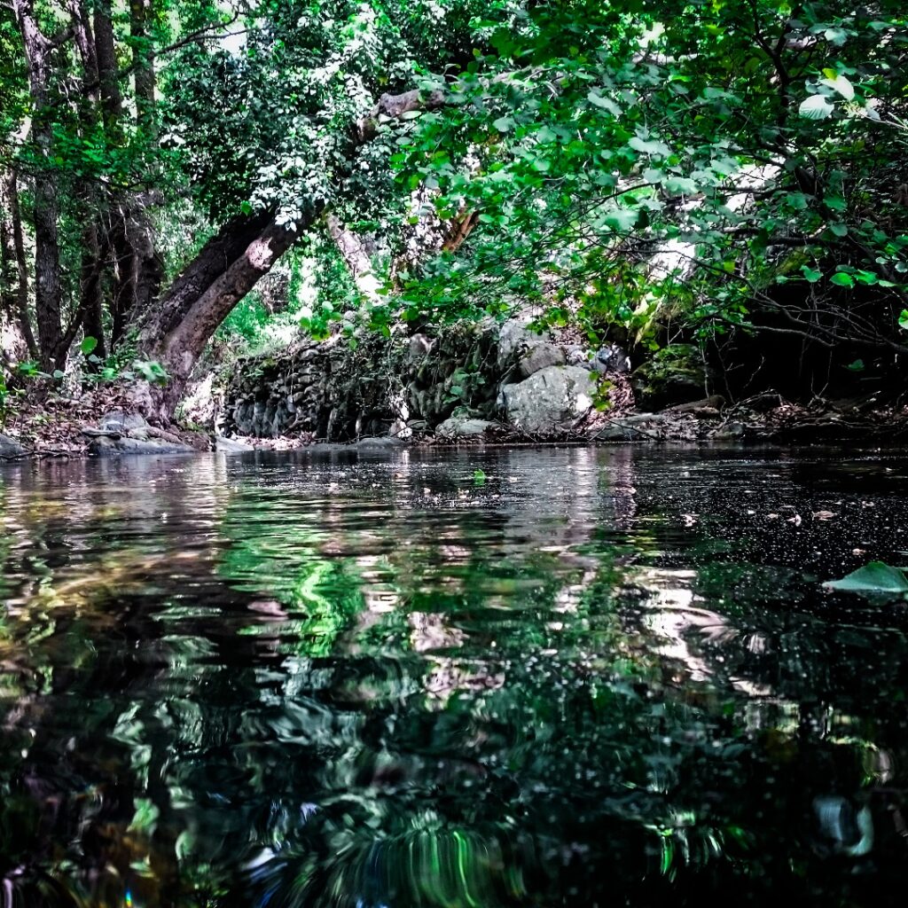 Στεργιόπουλος-Παναγιώτης-Ρέματα-01