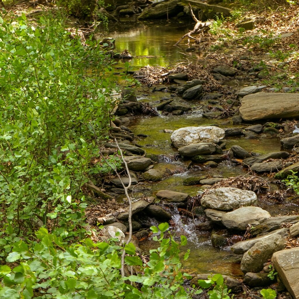 Τζατζάνης-Tzatzanis-Nikolaos-Oreini-Andros01
