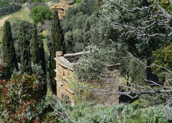 monopati-15a-featured Μονοπάτι 15a Άνδρος