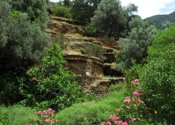 monopati-2-featured Μονοπάτι 2 Άνδρος