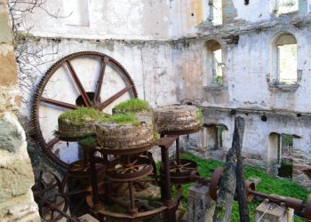 monopati-8-featured Μονοπάτι 8 Άνδρος